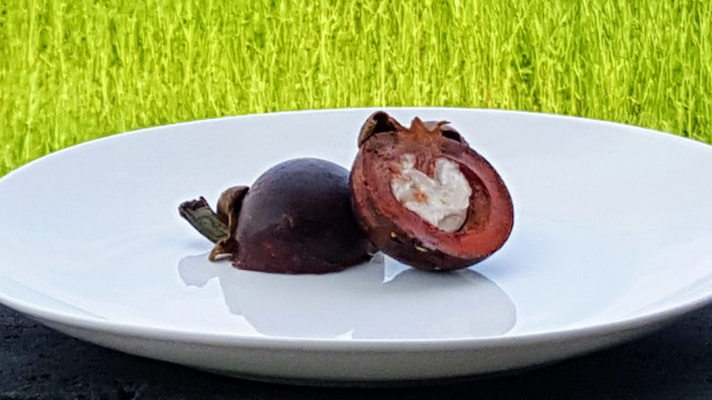 Mangostan