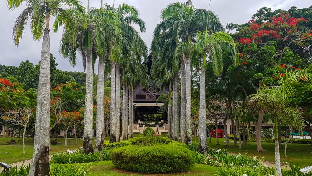 Resort Nexus - palmová zahrada